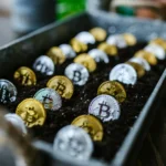 crypto30x.com gg