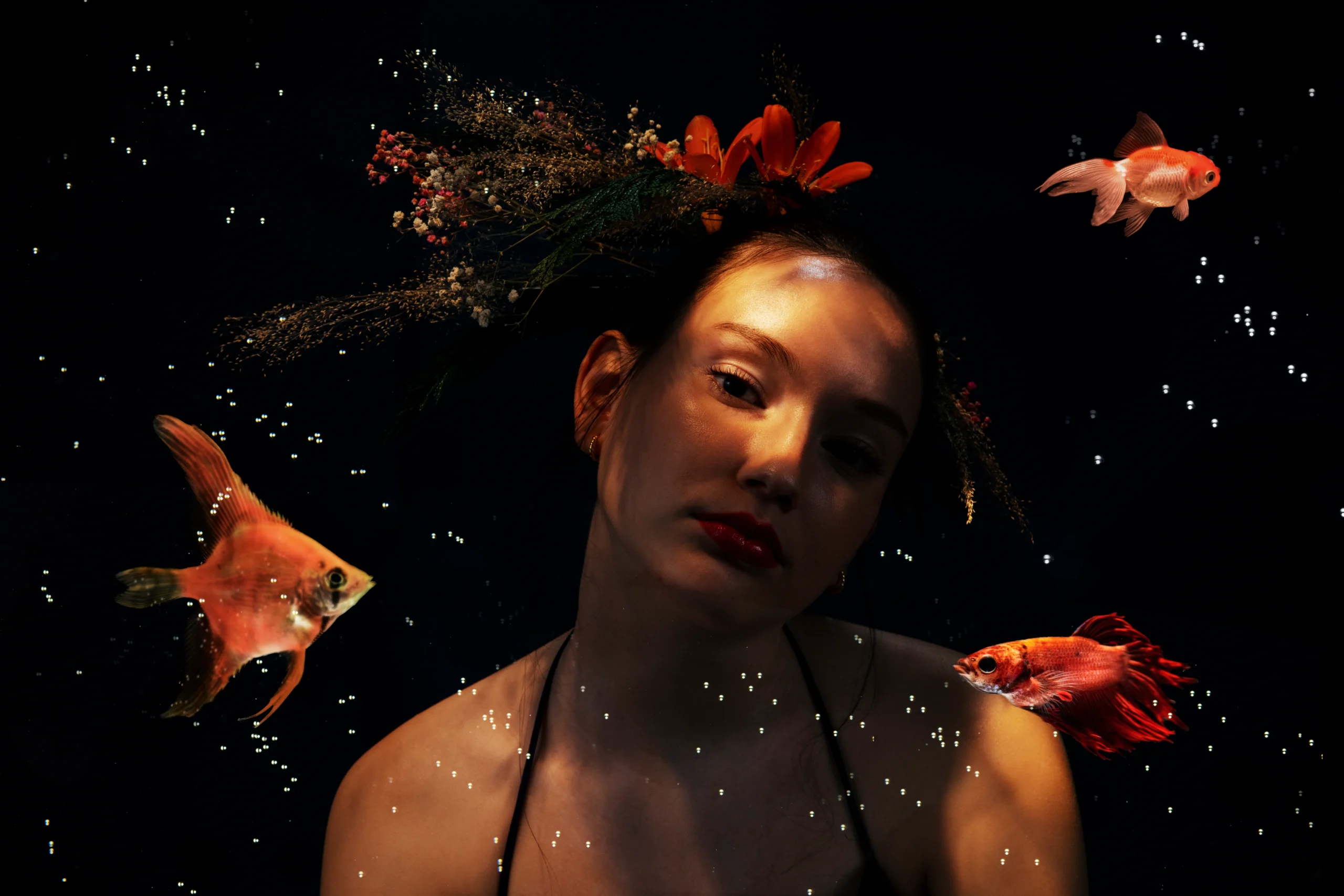 alyson h belcourt art